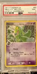 Torchic PSA MINT 9