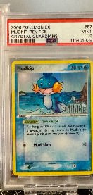 Mudkip