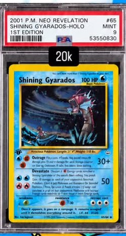 Shining Gyarados PSA MINT 9