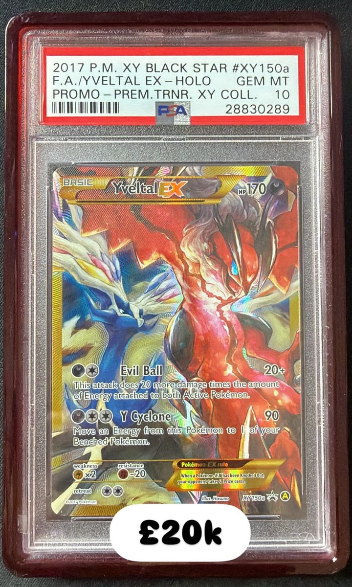 Yveltal EX PSA GEM MT 10