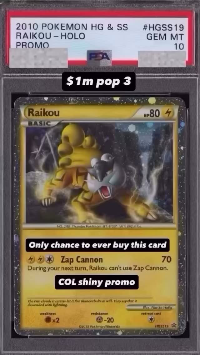 Raikou PSA GEM MT 10