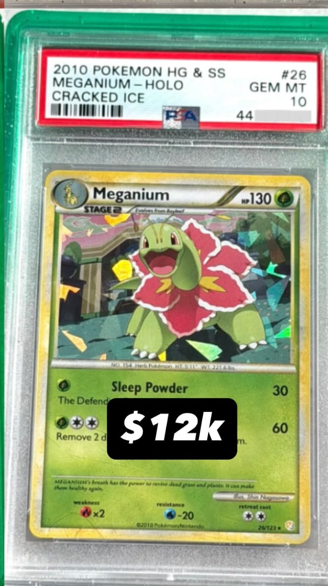 Meganium PSA GEM MT 10