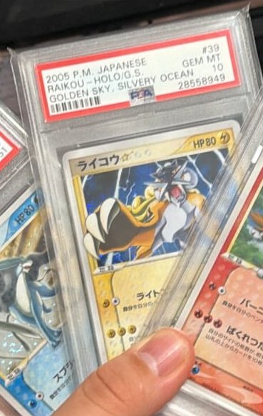 Raikou PSA GEM MT 10