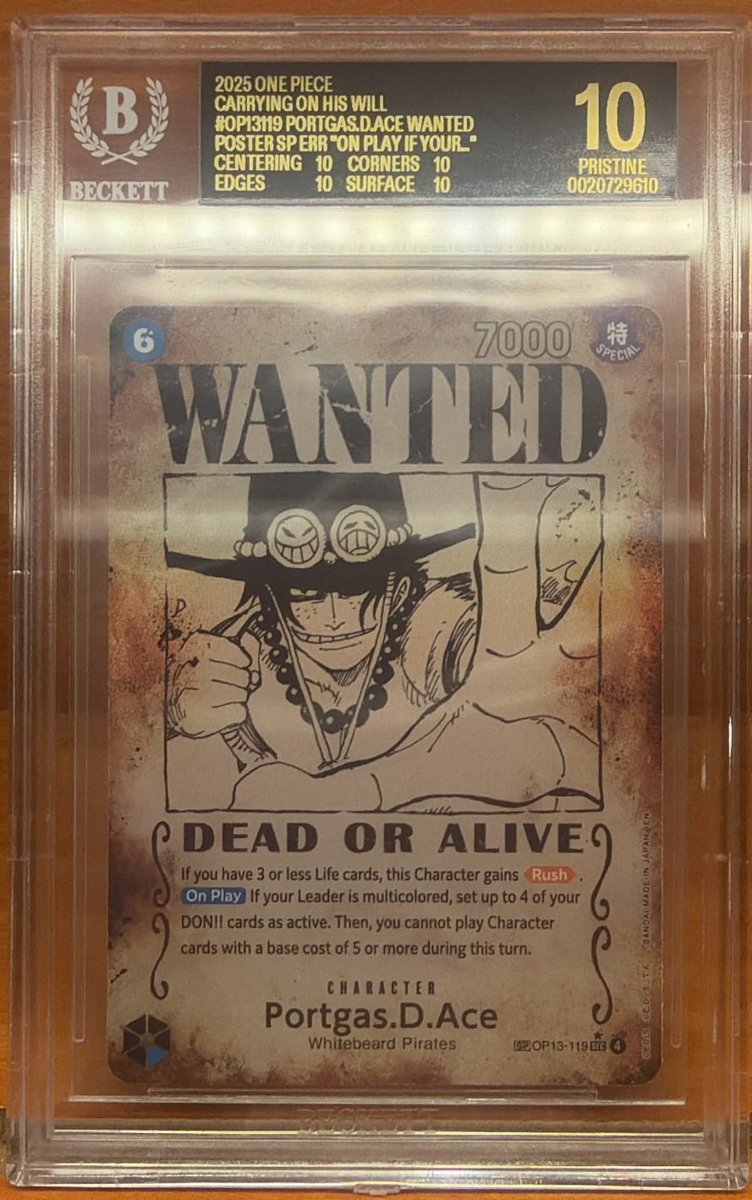 Portgas.d.ace other 10