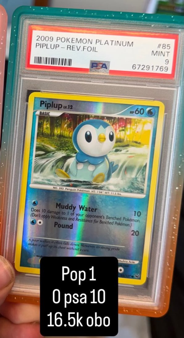 Piplup PSA MINT 9