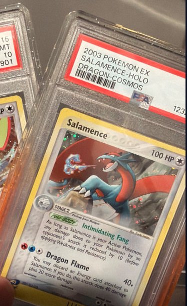 Salamence PSA