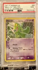 Treecko
