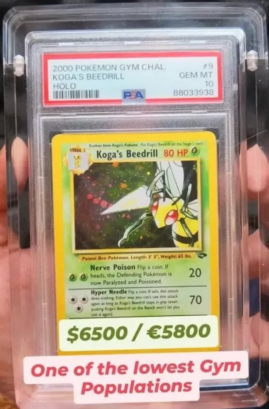 Koga's Beedrill PSA GEM MT 10