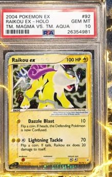 Raikou EX