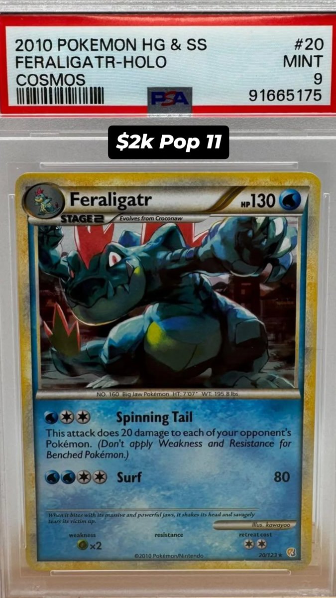 Feraligatr PSA MINT 9