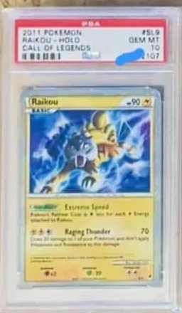 Raikou