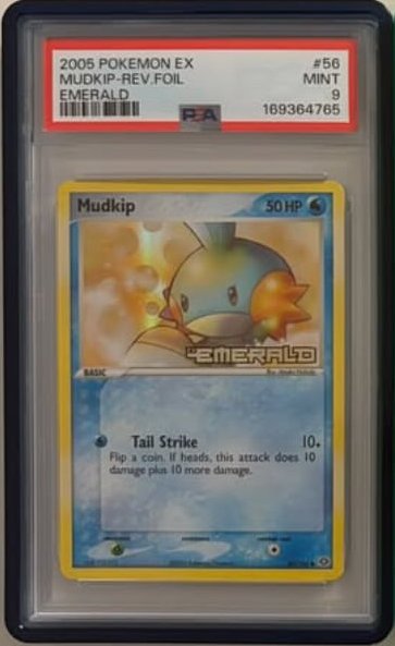 Mudkip PSA MINT 9