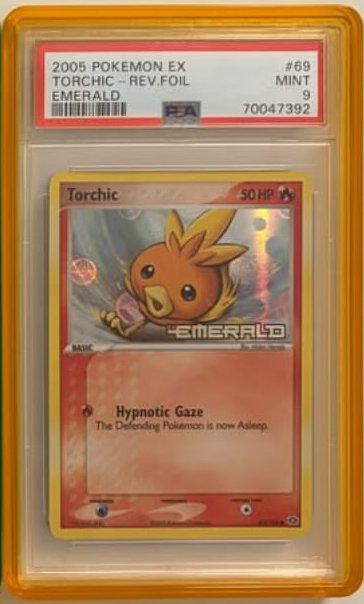 Torchic