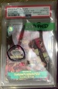 Eustass "captain" Kid PSA GEM MT 10