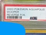 Woooper PSA 