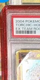 Torchic PSA 